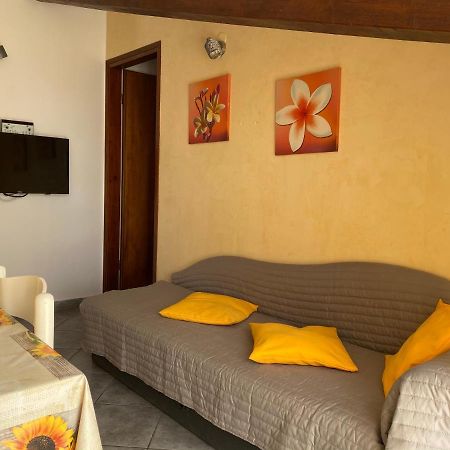 Apartments Tajana Novigrad (Istria) Exterior foto