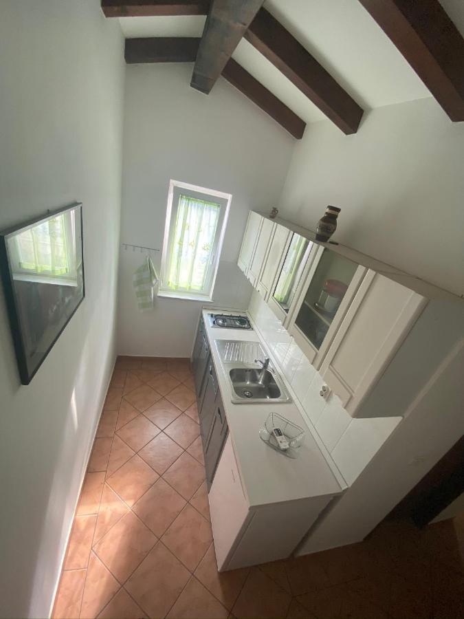 Apartments Tajana Novigrad (Istria) Exterior foto