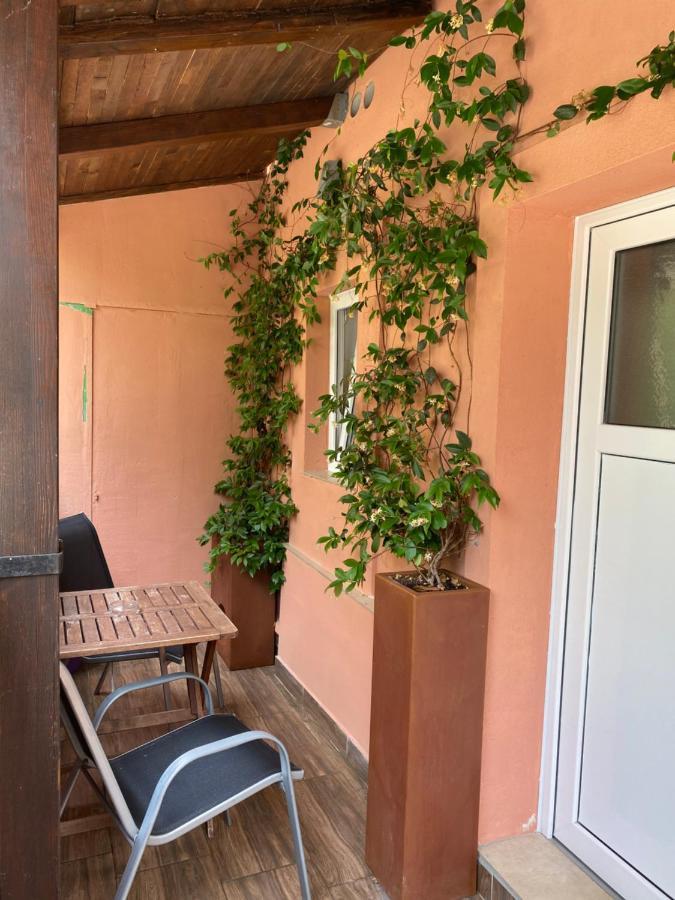 Apartments Tajana Novigrad (Istria) Exterior foto
