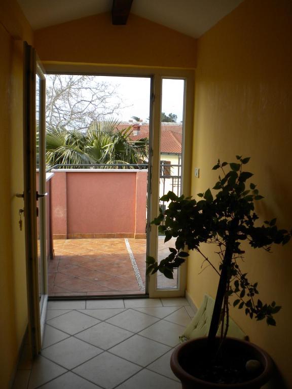 Apartments Tajana Novigrad (Istria) Quarto foto
